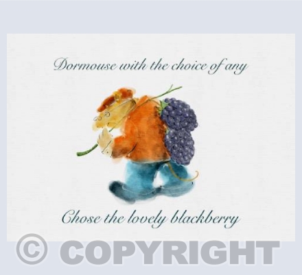 Dormouse
