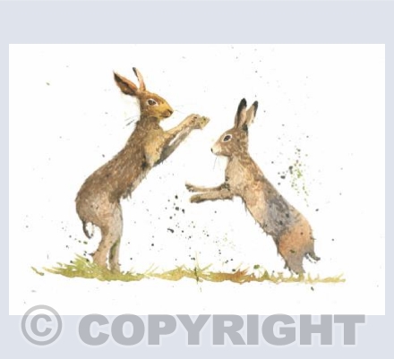Boxing Hares