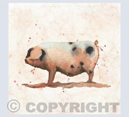 The Black Spot