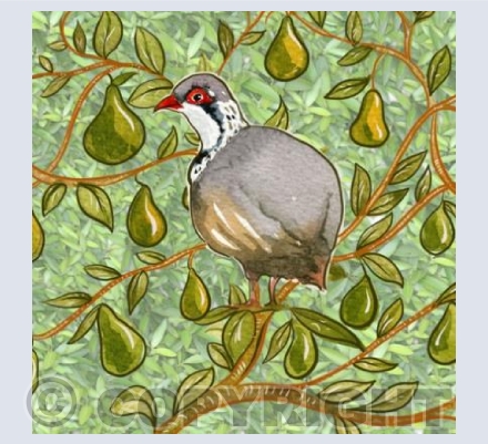 A Partridge in a Pear Tree