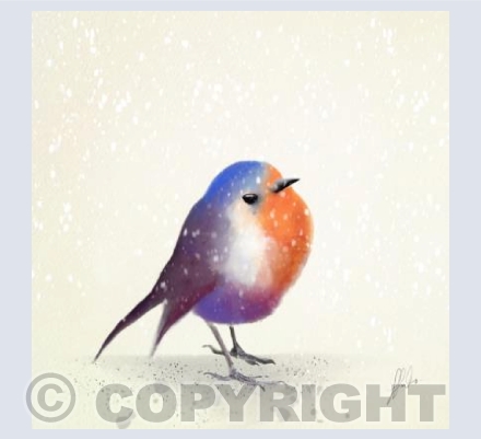 Winter robin