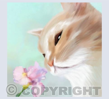 Ginger and blossom