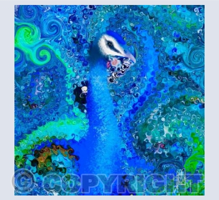 Blue Peacock
