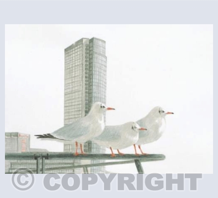 City Gulls