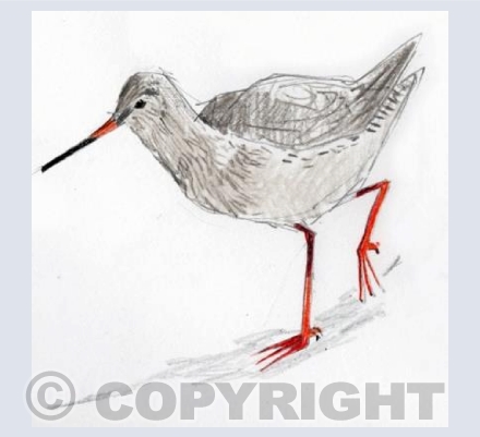 About Redshank Business