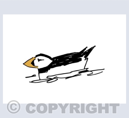 Sharpie Puffin 1