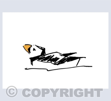 Sharpie Puffin 2