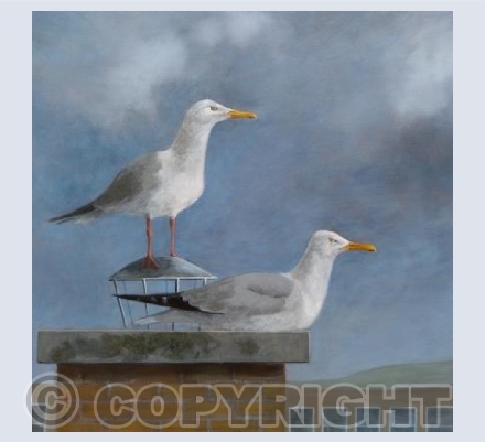 Chimney Perch 2