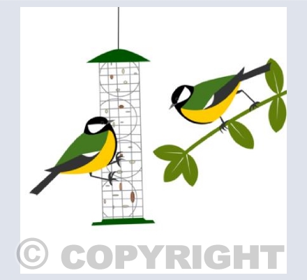 Great Tit