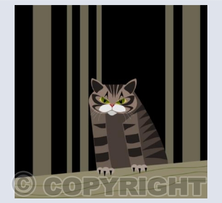 Scottish Wildcat