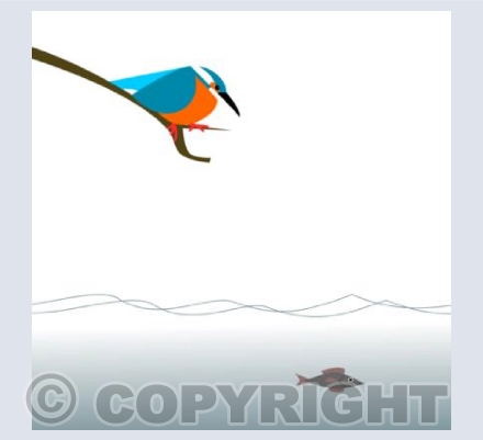 Kingfisher