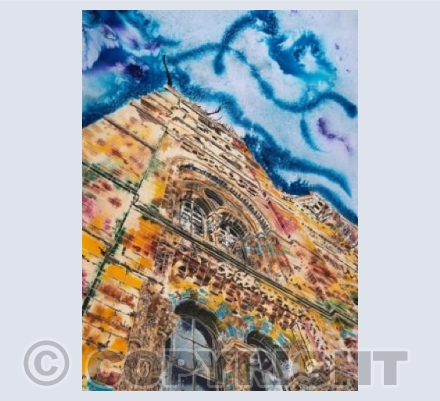 Natural History Graffiti