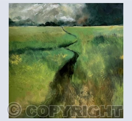 Summer Fields with Storm Clouds 