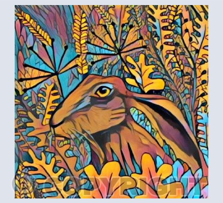 Hare Today