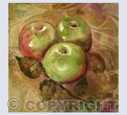 Bramley Apples