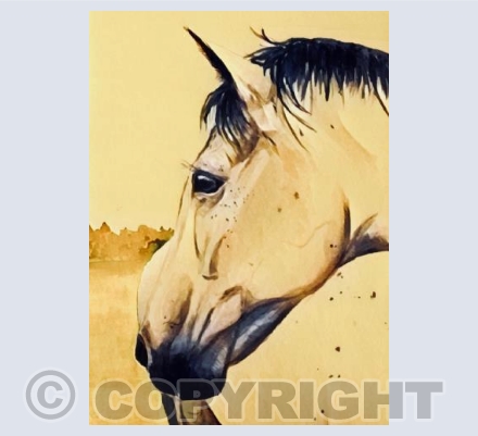 Horse Portrait