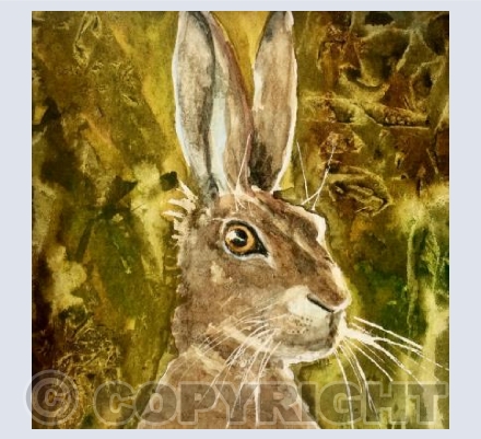 Hare's Breath