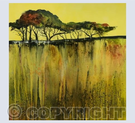 Edge of The Moor