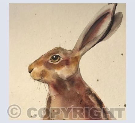 Hare
