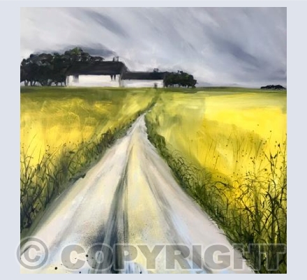 Yellow and Grey