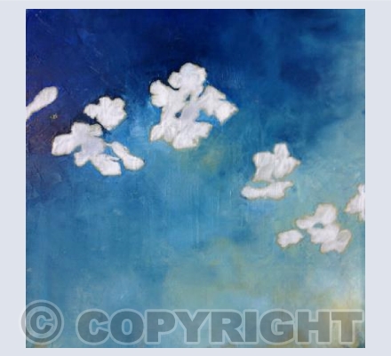 Blue - Blossom 