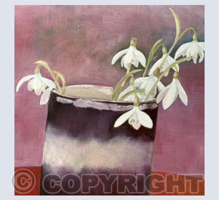 Snowdrops 
