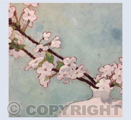 Cherry Blossom 