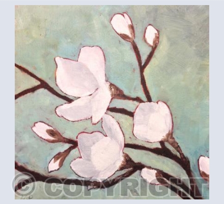 Magnolia