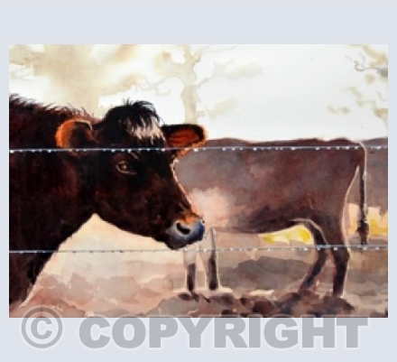 Early Morning in the Beet Field