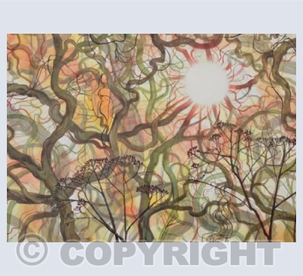 Optic Landscape