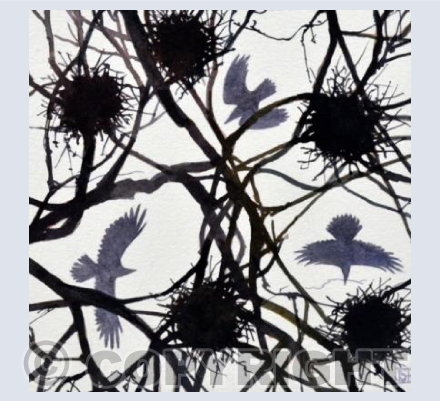 Nesting Cacophony 