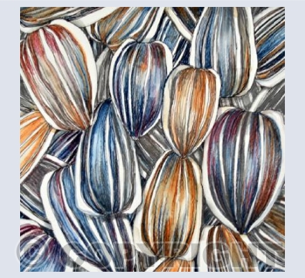 Sunflower Seeds