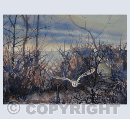 Without Warning; Low, Along the Cattle Track