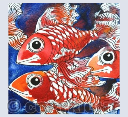 Koi 2