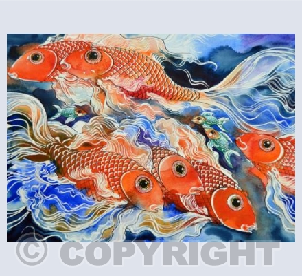 Koi