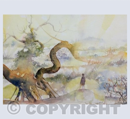 Acclimatisation. Made for the Arts Council funded Where Dragons lead project.