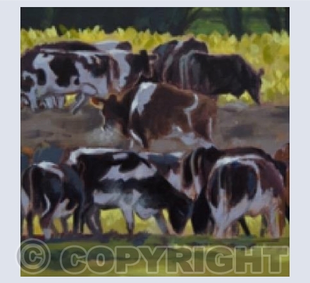 Returning to the Beet Field