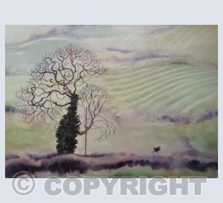 Ash Tree Giant. Made for the Arts Council funded Where Dragons lead project.