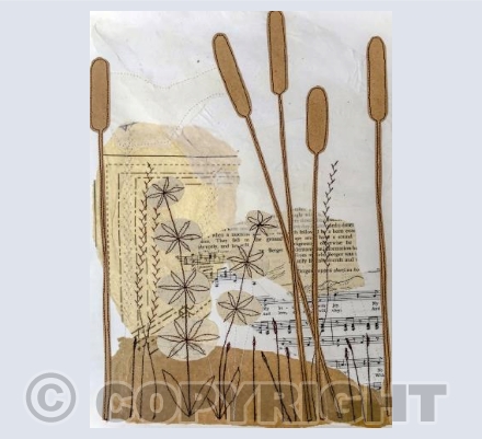 Bulrushes