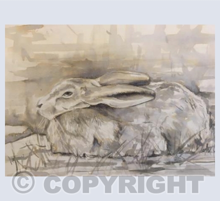 Sleepy Hare