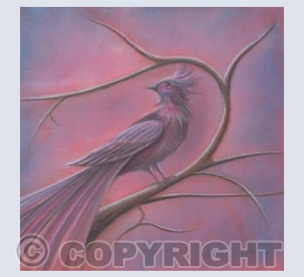 Worry Bird