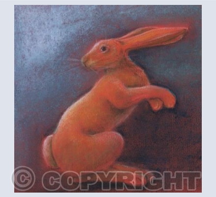 Cheeky Hare