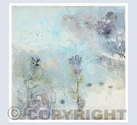 Coastal Garden