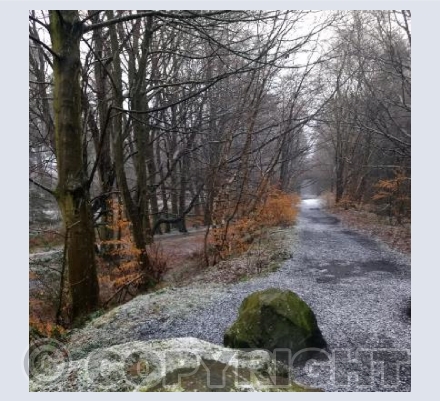 As the snow starts to fall