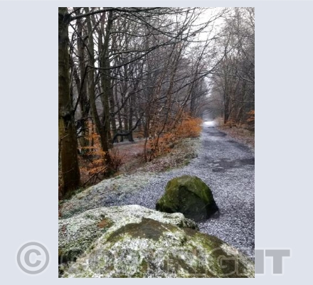 As the snow started to fall