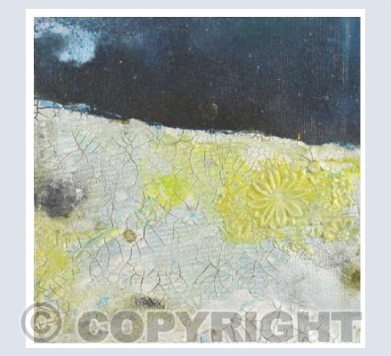 Moonlit field
