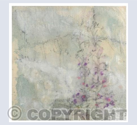 Rosebay Willowherb by the path #2