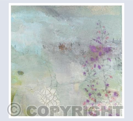 Rosebay Willowherb by the path #3