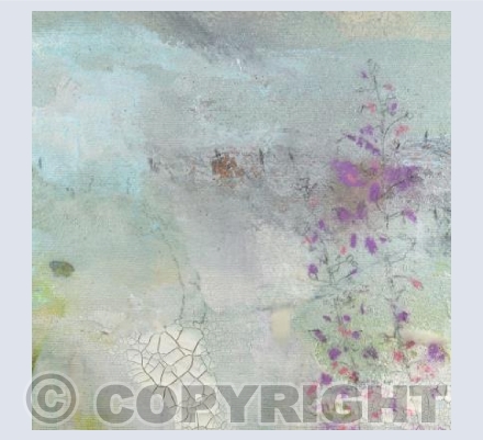 Rosebay Willowherb by the path #2