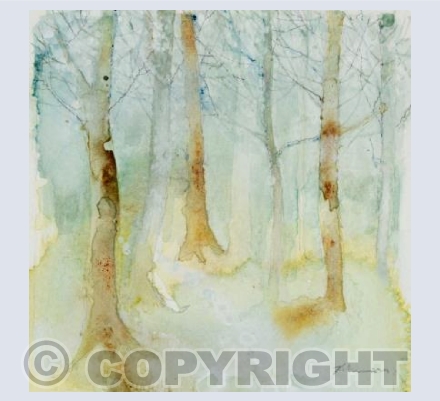 Woodland Glade
